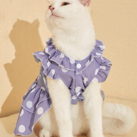 https://kvdesigners.com/products/pet-dress-33