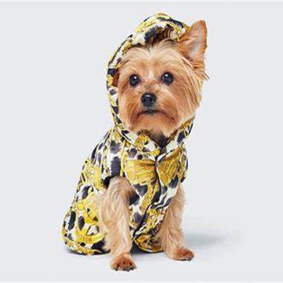 https://kvdesigners.com/products/pet-dress-001