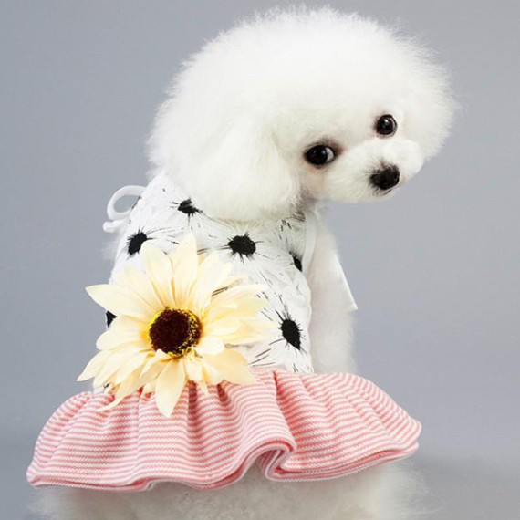 https://kvdesigners.com/products/pet-dress-002