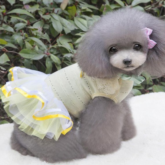 https://kvdesigners.com/products/pet-dress-003