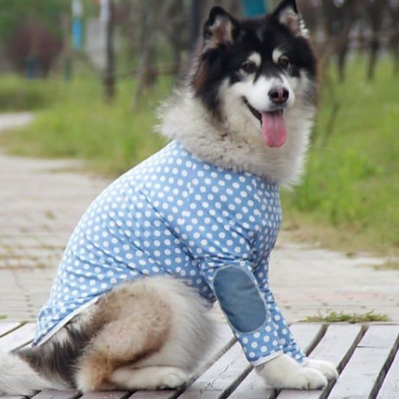 https://kvdesigners.com/products/pet-dress-004